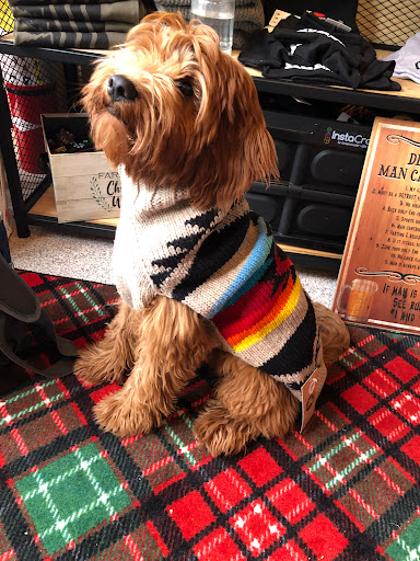 Pet Supply Store «3 Dogs 1 Cat», reviews and photos, 2472 Riopelle St, Detroit, MI 48207, USA