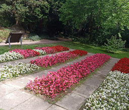 Botanical Garden photo