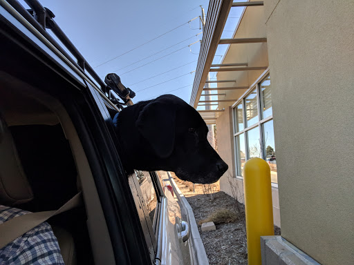 Coffee Shop «Caribou Coffee & Einstein Bros. Bagels», reviews and photos, 7120 E County Line Rd, Highlands Ranch, CO 80126, USA