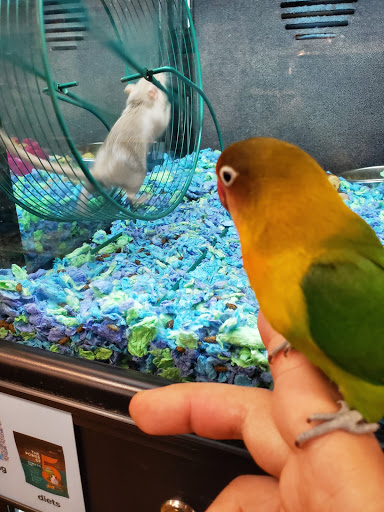 Pet Supply Store «PetSmart», reviews and photos, 157 Levittown Pkwy B, Levittown, PA 19055, USA