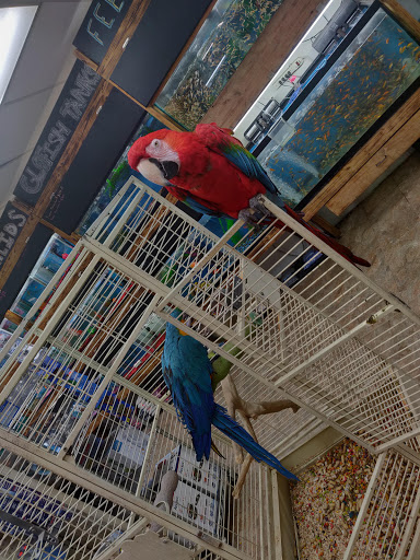 Pet Store «Feed-Rite Pet Supply», reviews and photos, 2979 Fort St, Lincoln Park, MI 48146, USA