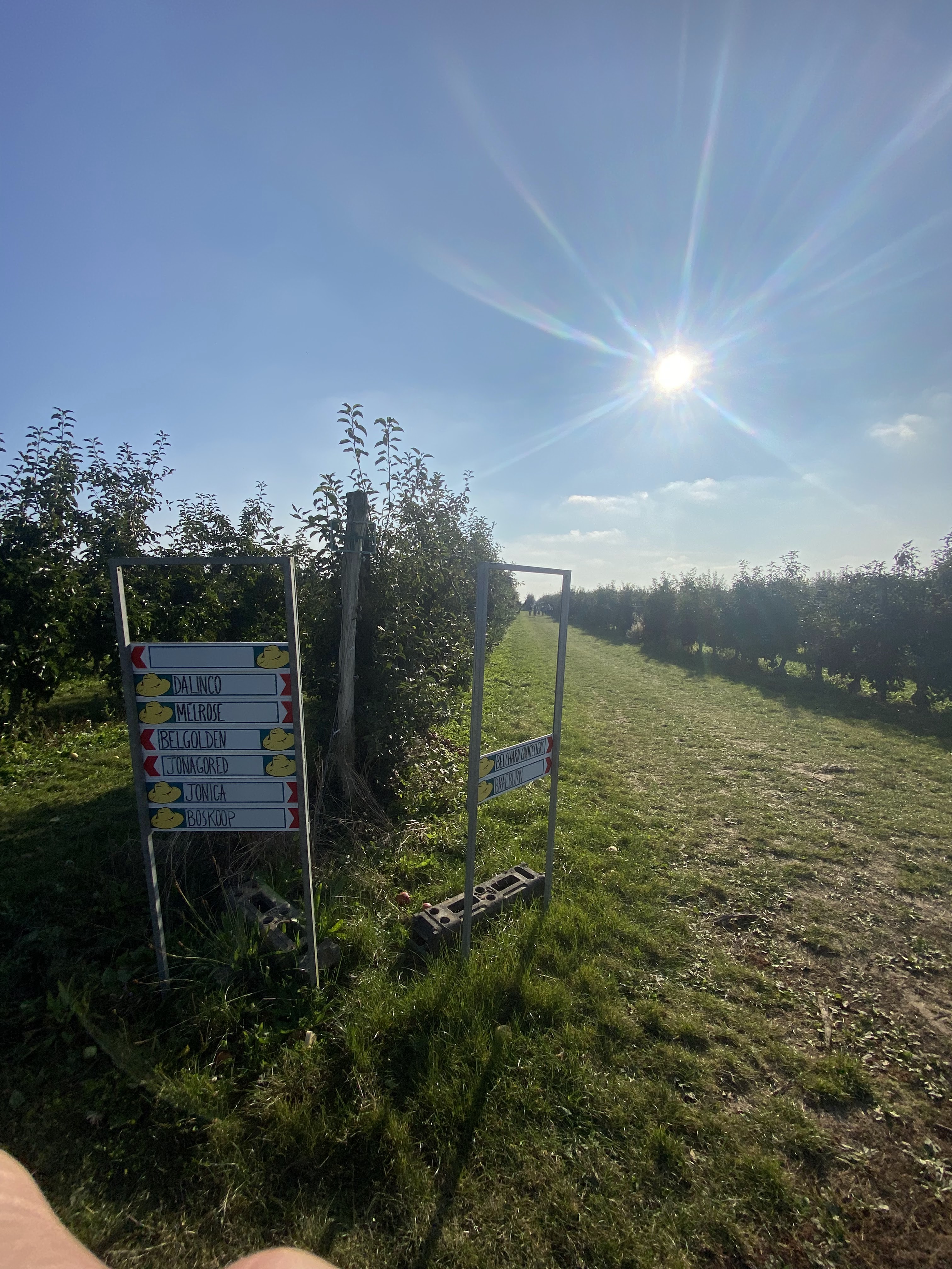 Photo n° 5 de l'avis de Épicurien. fait le 10/10/2021 à 15:22