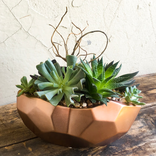 Wholesale Florist «Urban Jungle», reviews and photos, 2603 Sherman Ave NW, Washington, DC 20001, USA