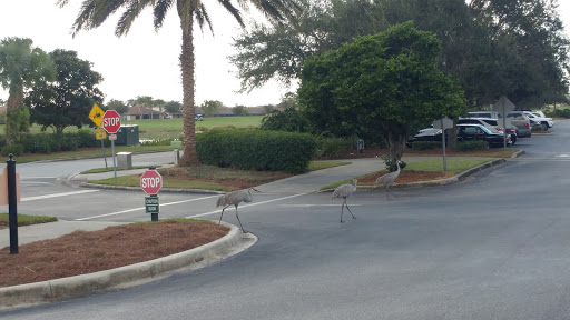 Golf Course «River Strand Golf & Country Club», reviews and photos, 7155 Grand Estuary Trail, Bradenton, FL 34212, USA