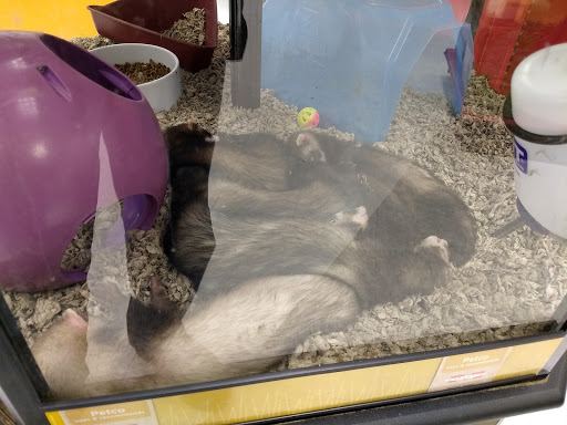 Pet Supply Store «Petco Animal Supplies», reviews and photos, 7721 Mentor Ave, Mentor, OH 44060, USA