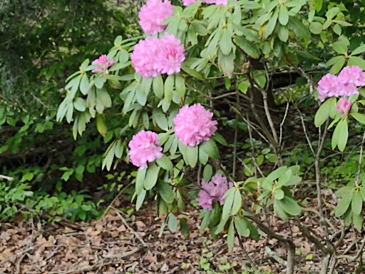 Outdoor Sports Store «Nantahala Outdoor Center Gatlinburg», reviews and photos, 1138 Parkway, Gatlinburg, TN 37738, USA