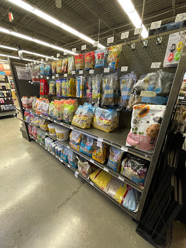 Pet Supply Store «Petco Animal Supplies», reviews and photos, 5994 Montana Ave, El Paso, TX 79925, USA