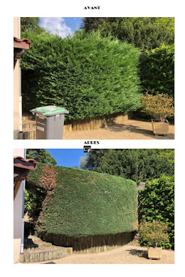 VIVASERVICES Clermont-Ferrand | Service d'aide à domicile, Ménage, aide aux personnes âgées, Jardinage à Clermont-Ferrand