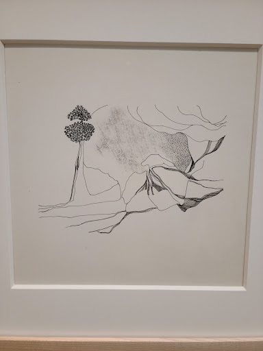 Modern Art Museum «The Phillips Collection», reviews and photos, 1600 21st St NW, Washington, DC 20009, USA