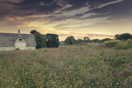 Nature Preserve «Schweitzer Woods Forest Preserve», reviews and photos, 16N690 Sleepy Hollow Rd, West Dundee, IL 60118, USA
