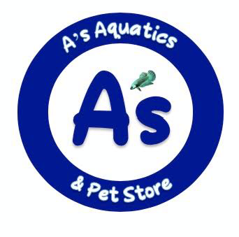 Pet Store «Critter Hut Aquarium & Pets», reviews and photos, 6637 Post Rd, North Kingstown, RI 02852, USA