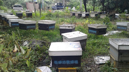 桂蜂坊养蜂场