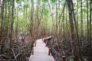 Pak Nam Prasae Mangrove Forest image
