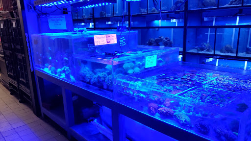 Pet Supply Store «House of Pets Inc», reviews and photos, 29500 Ford Rd, Garden City, MI 48135, USA