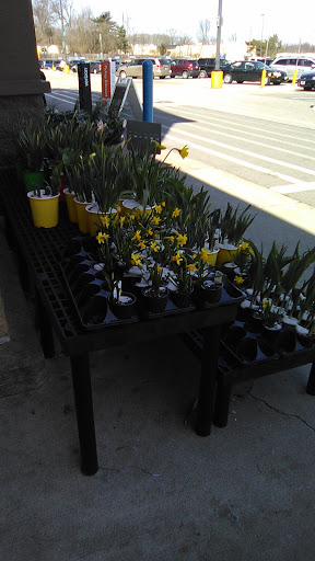 Department Store «Walmart Supercenter», reviews and photos, 1815 E Ohio Pike, Amelia, OH 45102, USA