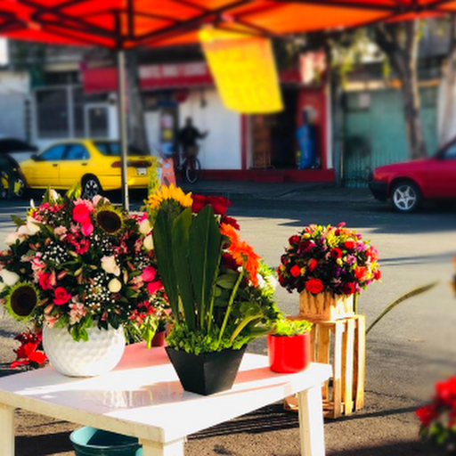 Flores y diseños quetzal