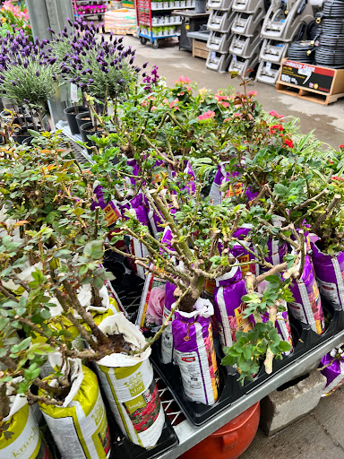 Home Improvement Store «The Home Depot», reviews and photos, 5010 Old Hickory Blvd, Hermitage, TN 37076, USA