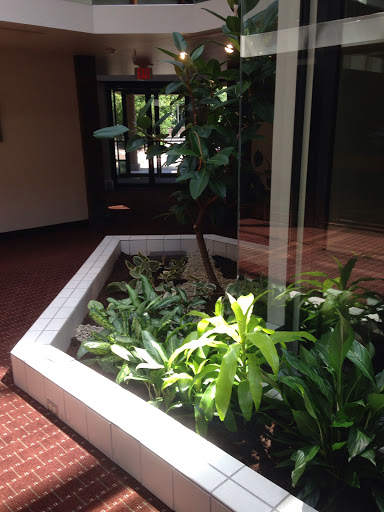 Florist «House of Plants Florist Inc», reviews and photos, 1670 Merriman Rd, Akron, OH 44313, USA