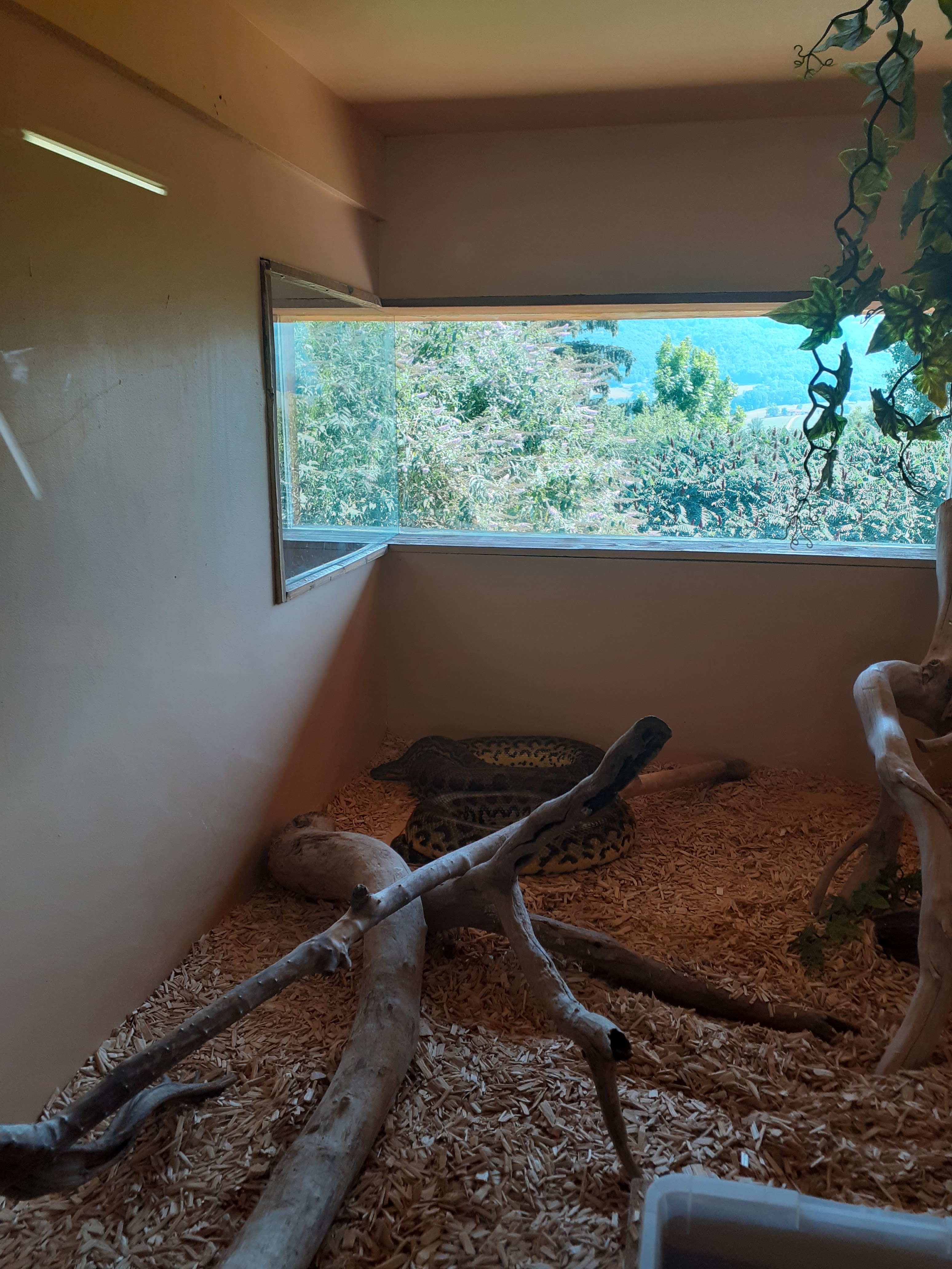 Photo n° 6 de l'avis de valjeux. fait le 26/07/2022 à 11:30