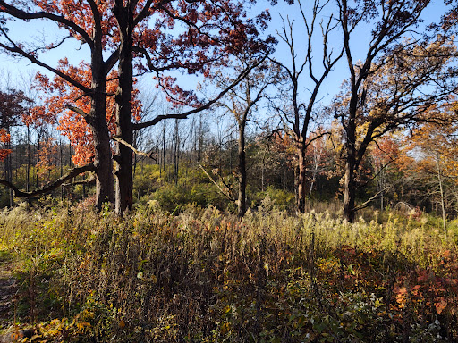 Ice Age Trail Springfield Hill