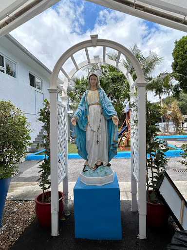 The Missionaries of Charity of Mother Teresa