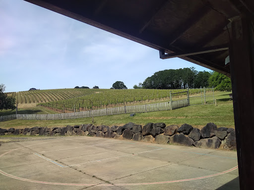 Winery «Belle Pente Vineyard & Winery», reviews and photos, 12470 NE Rowland Rd, Carlton, OR 97111, USA