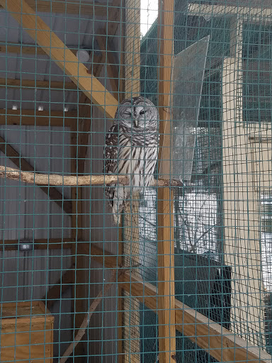 Tourist Attraction «Connecticut Audubon Center», reviews and photos, 1361 Main St, Glastonbury, CT 06033, USA