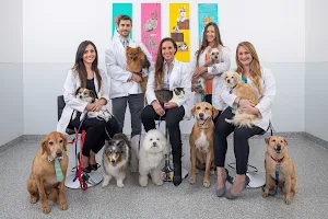 Boca Veterinary Clinic image