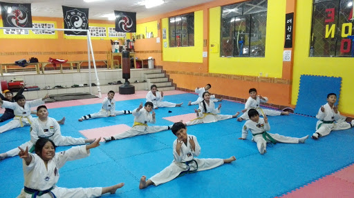 Escuela de Tae Kwondo Orgullo Marcial