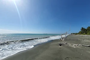 Playa Nizao image