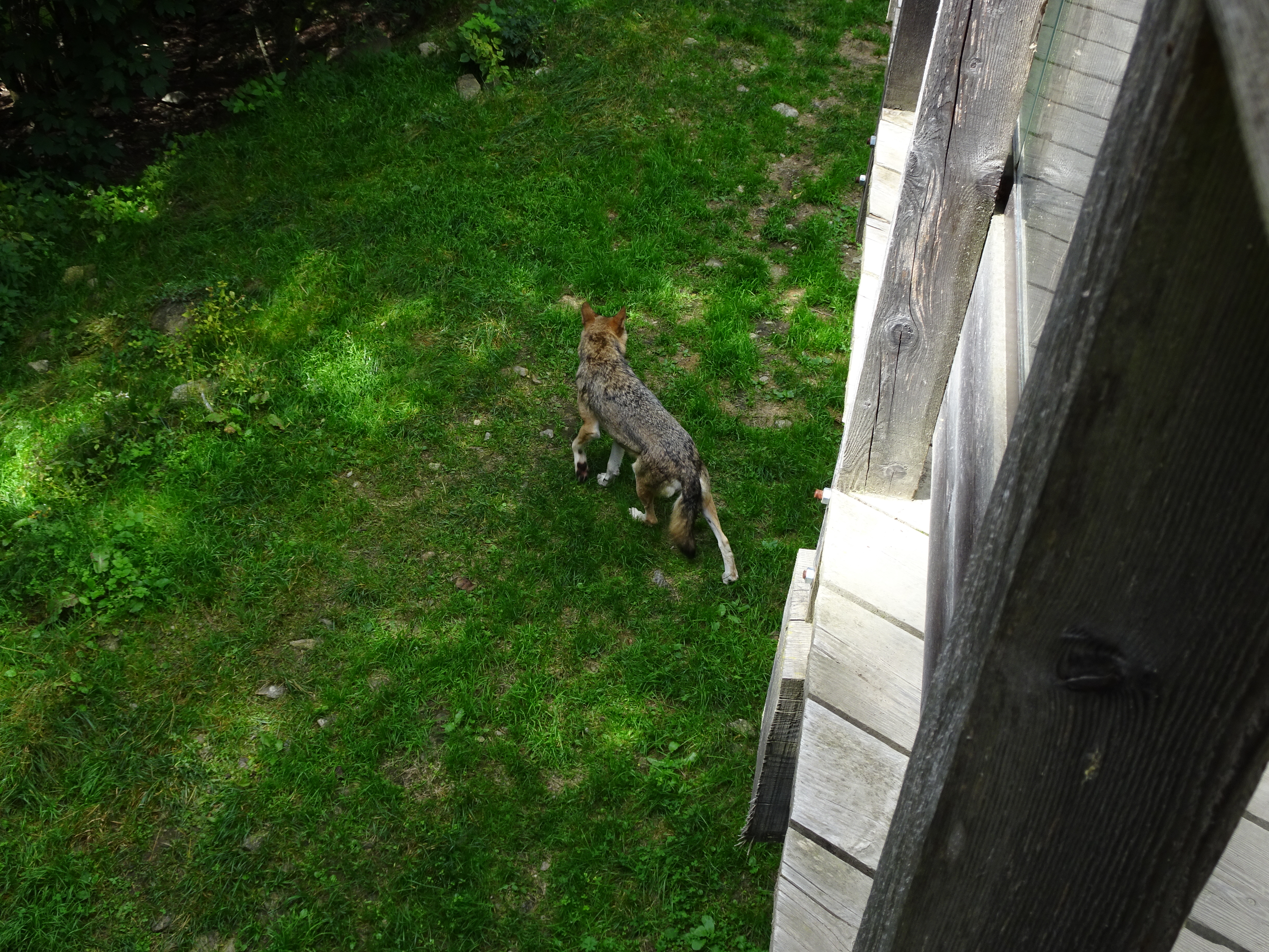 Photo n° 8 de l'avis de Romain.o fait le 10/09/2018 à 13:52