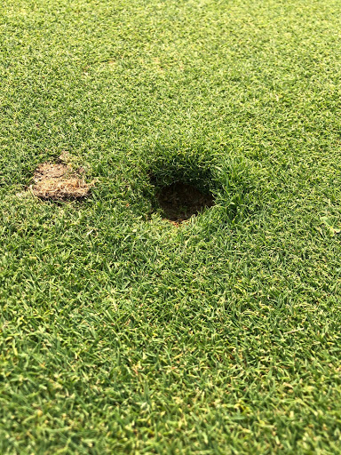 Golf Course «Antelope Greens Golf Course», reviews and photos, 2721 Elverta Rd, Antelope, CA 95843, USA