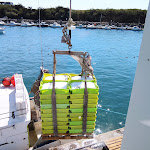 Photo n° 23 de l'avis de Loack.i fait le 11/08/2022 à 21:11 pour Escale Pêche à Saint-Gilles-Croix-de-Vie