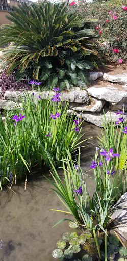 Art Museum «San Antonio Museum of Art», reviews and photos, 200 W Jones Ave, San Antonio, TX 78215, USA