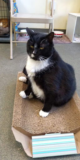 Animal Shelter «Heritage Humane Society», reviews and photos