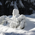 Photo n°2 de l'avis de Hans-Jürgen.n fait le 14/02/2021 à 13:21 sur le  Gaststätte Am Pferdegöpel à Johanngeorgenstadt