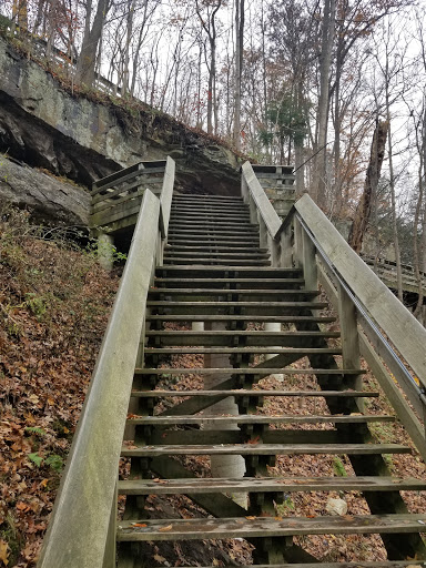 Tourist Attraction «Brandywine Gorge Trail», reviews and photos, 8176 Brandywine Rd, Sagamore Hills, OH 44067, USA