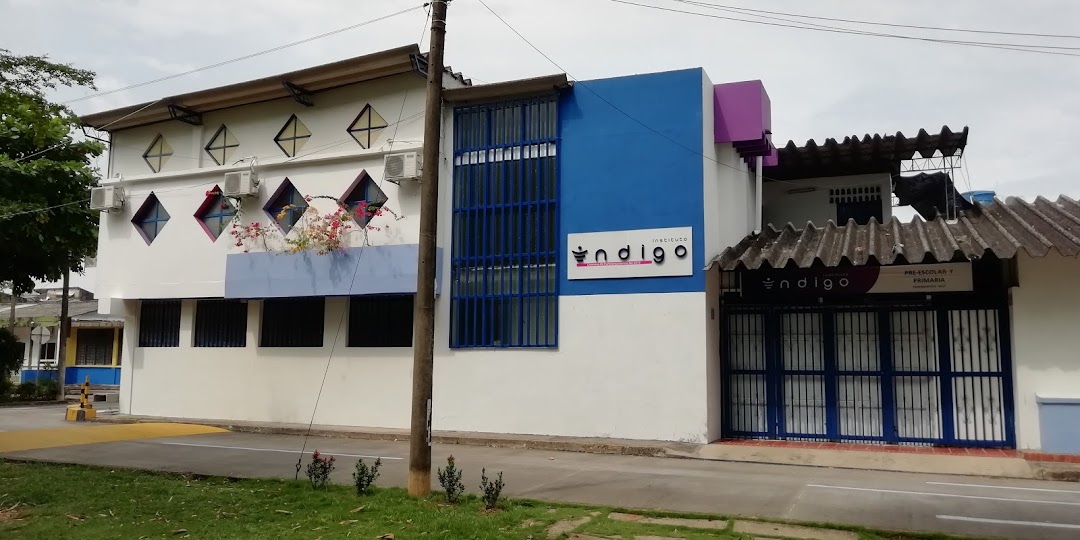 Instituto Indigo