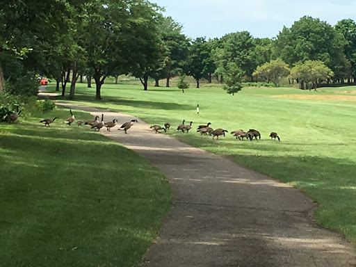 Golf Course «Airport Golf Course», reviews and photos, 900 N Hamilton Rd, Columbus, OH 43219, USA