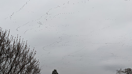 Museum «Pearson Air Museum», reviews and photos, 1115 E 5th St, Vancouver, WA 98661, USA