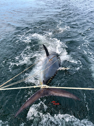 Fishing Charter «Connemara Bay Fishing Charters», reviews and photos, 47 Crafts Rd, Gloucester, MA 01930, USA