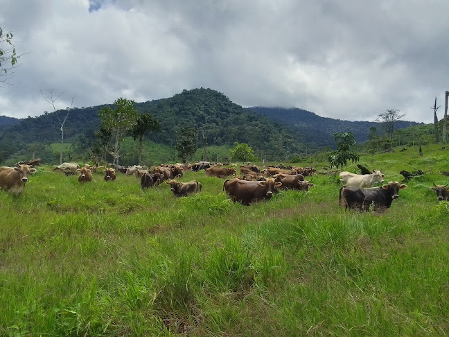 ASOCIACIÓN DE GANADEROS MONTERRICO