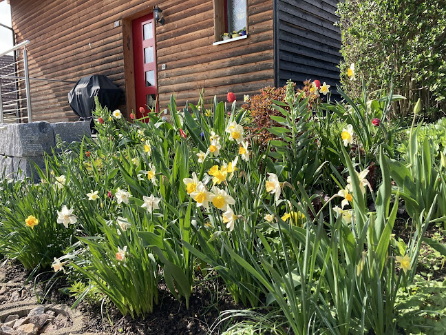 Forster Gartenbau AG Gärtner von Eden - Gartenbauer