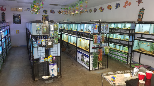 Pet Store «Pet Village», reviews and photos, 200 N Main St, Duncanville, TX 75116, USA
