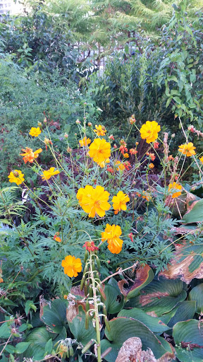 Park «Asser Levy Park», reviews and photos, 302 Sea Breeze Ave, Brooklyn, NY 11224, USA