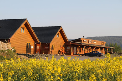 Pfotenland Tierpension unter Bad Harzburg, 