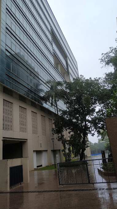 Google Maps image 32