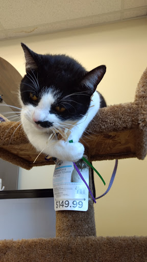 Pet Supply Store «Petco Animal Supplies», reviews and photos, 9687 Kenwood Rd, Blue Ash, OH 45242, USA