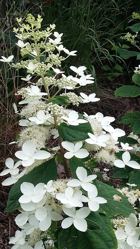 Park «Oxbow Park & Zollman Zoo», reviews and photos, 5731 County Rd 105 NW, Byron, MN 55920, USA