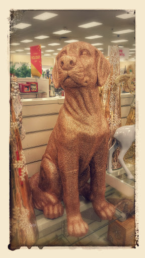 Department Store «HomeGoods», reviews and photos, 2692 Madison Rd G, Cincinnati, OH 45208, USA